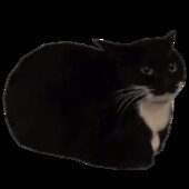 NEXTBOT OBUNGA COMO PEATÓN (SE PODRA REEMPLAZAR TXD POR CUALQUIER NEXTBOT)